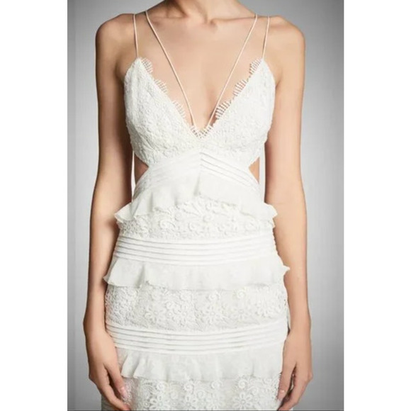 SACHIN + BABI Dress Size 14 Evening Gown NEW Nina Cream Lace Maxi Long Ivory - Picture 9 of 10